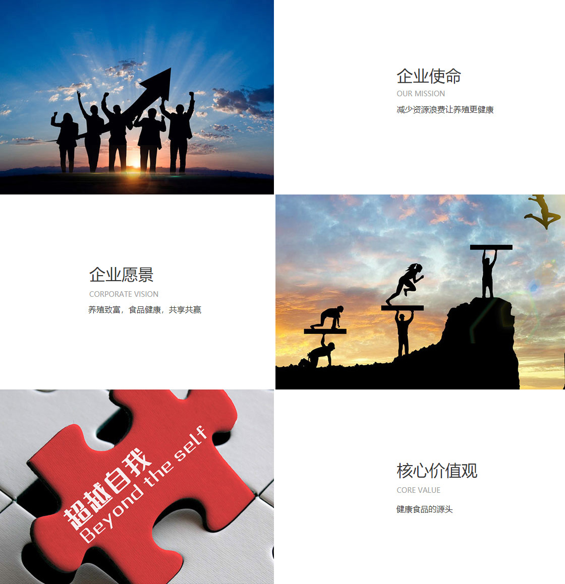 开云 kaiyun(图1)
